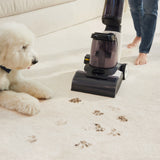 Tineco CARPET ONE PRO - 130W Suction Power, Heated Water Washing, Smart App