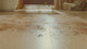 [Pre-Order] iFLOOR Y5 Strech, 40min - Wet Dry Vacuum Cordless Floor Washer & Mop Stick