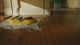 FLOOR ONE Switch S6 Power Kit - Smart 5-in-1 Wet Dry Cordless Vacuum Floor Washer & Stick Vacuum - Vacuum: 65min / Floor Washer: 40min